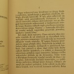 chłopcy z placu broni (3).JPG