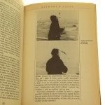 rozmowy w tańvu (4).JPG