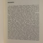 kara mustafa pod wiedniem (2).JPG