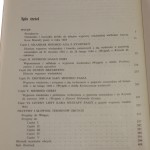 kara mustafa pod wiedniem (3).JPG