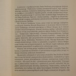 cesarstwo bizantyńskie (3).JPG