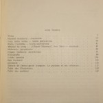 Teoria awangardy francuskiej (2).JPG