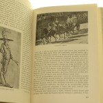 podróże inflantczyka (4).JPG