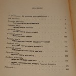 wielcy i mali (2).JPG