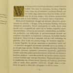 tolkien hobbit (3).JPG