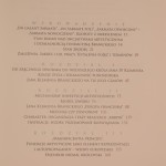 sarmata nowoczesny (2).JPG