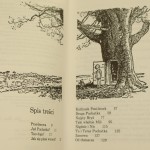 tao kubusia puchatka (2).JPG