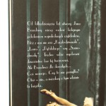 Brzechwa dla dorosłych opowiadania drastyczne humoreski felietony liryki kabaretiana wybór i opracowanie Możdżonek Andrzej [1998]