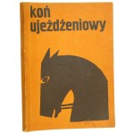 koń ujeżdżeniowy (1).JPG