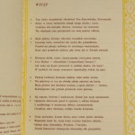 rycerz w tygrysiej skórze (3).JPG