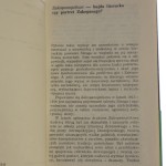 zakopanoptikon (3).JPG