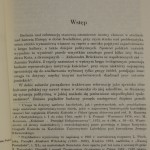 protestanci (3).JPG