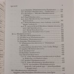 Genealogia Mścisławowiczów (9).JPG