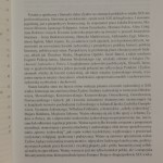 kwestia żydowska w xix wieku (4).JPG
