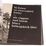 czas kamieni (5).JPG