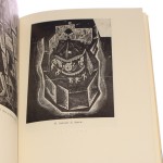 cieślewski syn (3).JPG