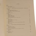 sztuka słowian (2).JPG