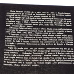 losy pokrzyżowane (3).JPG