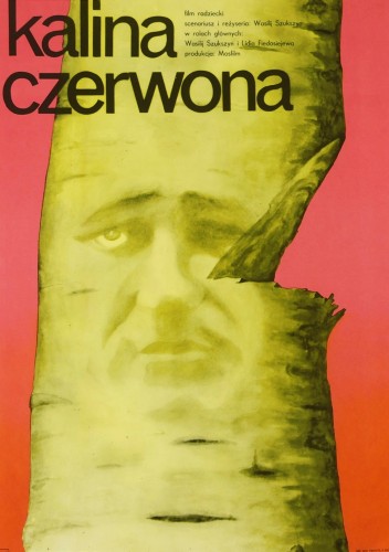 Plakat Kalina Czerwona.JPG