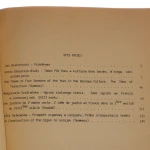 ikonotheka 1 (2).JPG