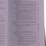 Świątynie postacie mity (4).JPG