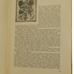 ludowe kafle (3).JPG