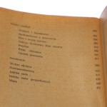 społeczeństwo polskie (3).JPG