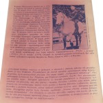 poszło z dymem (2).JPG