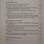 horyzonty estetyki (3).JPG