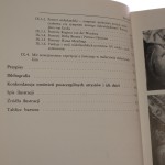 sztuka burgundii (12).JPG