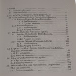 książęcy mecenat (2).JPG