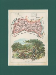 Gubernia Łomżyńska Powiat Ostrowski Józef Michał Bazewicz [mapa Królestwo Polskie 1907]