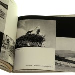 ziemia przemyska (5).jpg