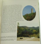 Chinese Gardens (5).JPG