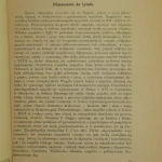 Polska majolika ludowa (3).JPG