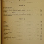 Polska majolika ludowa (7).JPG
