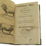 Chodowanie owiec (3).JPG