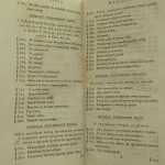 Chodowanie owiec (14).JPG
