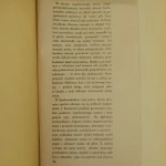 Republika globu (4).JPG