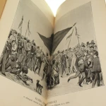 Konik Zwierzyniecki (4).JPG