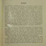 Norblin (4).JPG