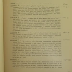 Rzeźnicy krakowscy (5).JPG