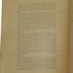 Rzeźnicy krakowscy (6).JPG