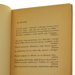 Flet czarodziejski (3).JPG