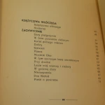 Flet czarodziejski (5).JPG