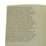 Wielki las Nienacki Wydanie pierwsze (2).JPG