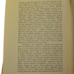 Malowidła ścienne (4).JPG
