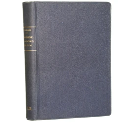 Zagadnienie narodowej polityki Józef Milewski [1913]