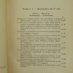 Lud słowiański (4).JPG