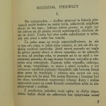 Młodzik Dostojewski (6).JPG